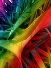 Colors 9
