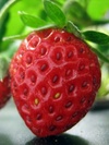 Nature 7( center.uiwap.com)