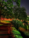 Nature Way( center.uiwap.com)