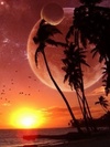 Nature( center.uiwap.com)