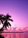 Pink Nature 1( center.uiwap.com)